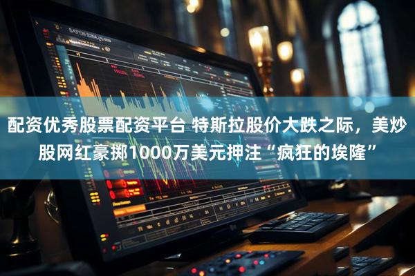 配资优秀股票配资平台 特斯拉股价大跌之际，美炒股网红豪掷1000万美元押注“疯狂的埃隆”