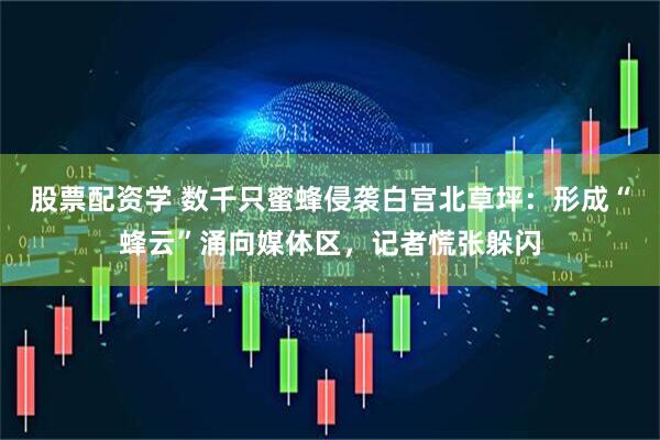 股票配资学 数千只蜜蜂侵袭白宫北草坪：形成“蜂云”涌向媒体区，记者慌张躲闪